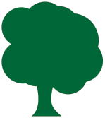 Innovation-Drivers-Tree-Green-Outline